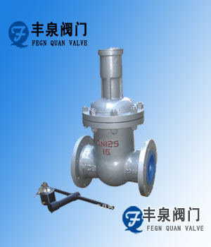 FDZ45H永磁防盜閘閥