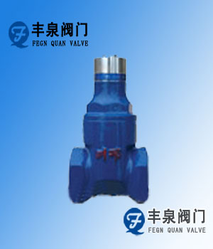 加密絲扣軟密封閘閥