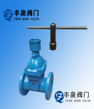 加密法蘭軟密封閘閥