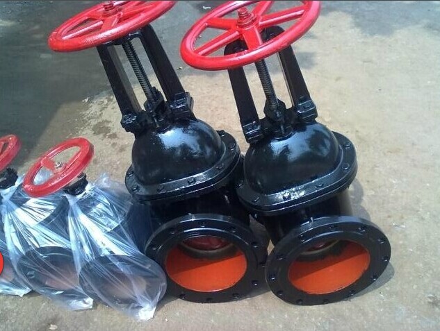 Z41T明杆鑄鐵閘閥