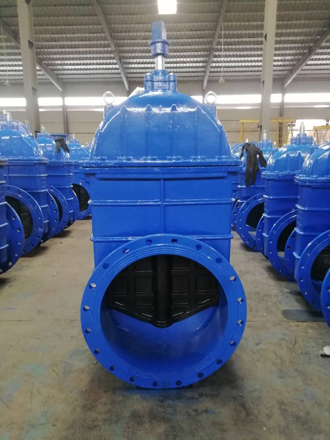 大口徑彈性座封閘閥